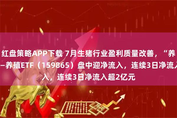 红盘策略APP下载 7月生猪行业盈利质量改善，“养猪ETF”——养殖ETF（159865）盘中迎净流入，连续3日净流入超2亿元