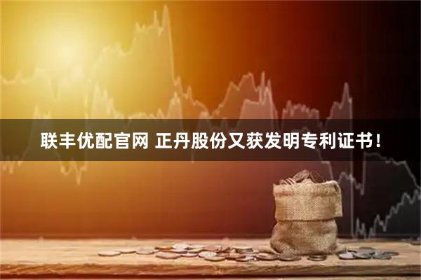联丰优配官网 正丹股份又获发明专利证书！