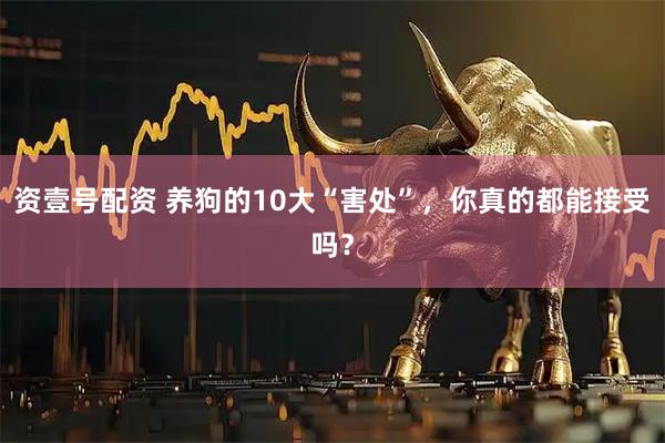资壹号配资 养狗的10大“害处”，你真的都能接受吗？