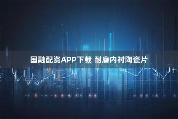 国融配资APP下载 耐磨内衬陶瓷片