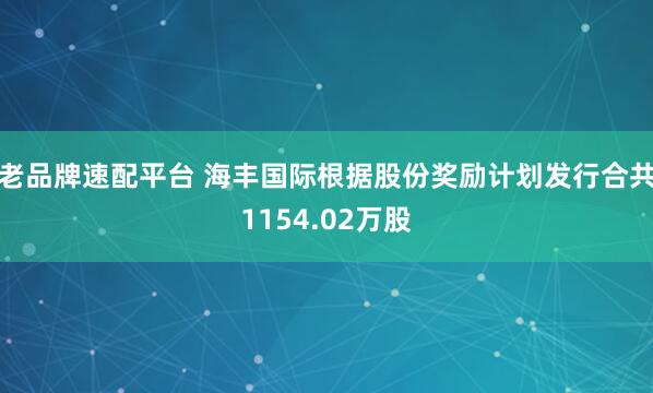 老品牌速配平台 海丰国际根据股份奖励计划发行合共1154.02万股
